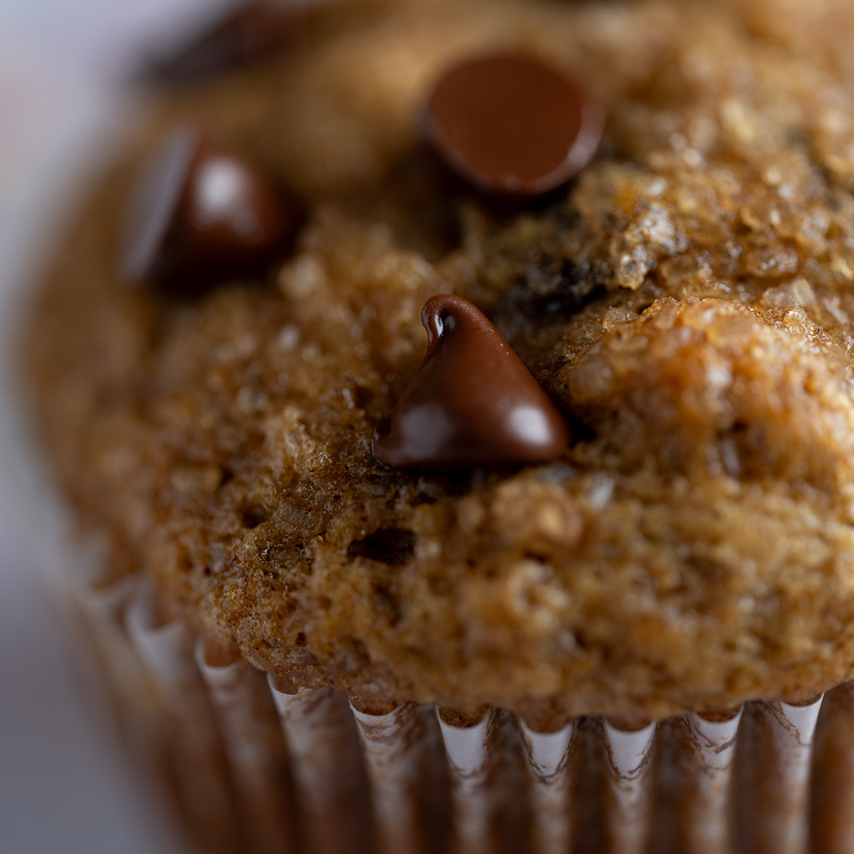A gooey chocolate chip on a banana chocolate chip muffin.