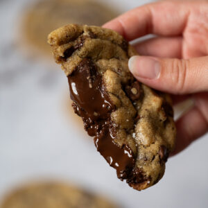 Gooey, chocolaty center of a freshly-baked chocolate chip cookie.